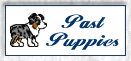 aussie_past_puppies_button.jpg